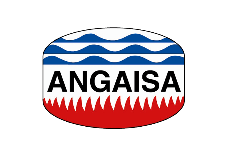 SVAI partner angaisa