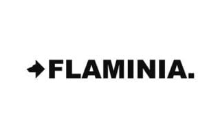 SVAI_flaminia