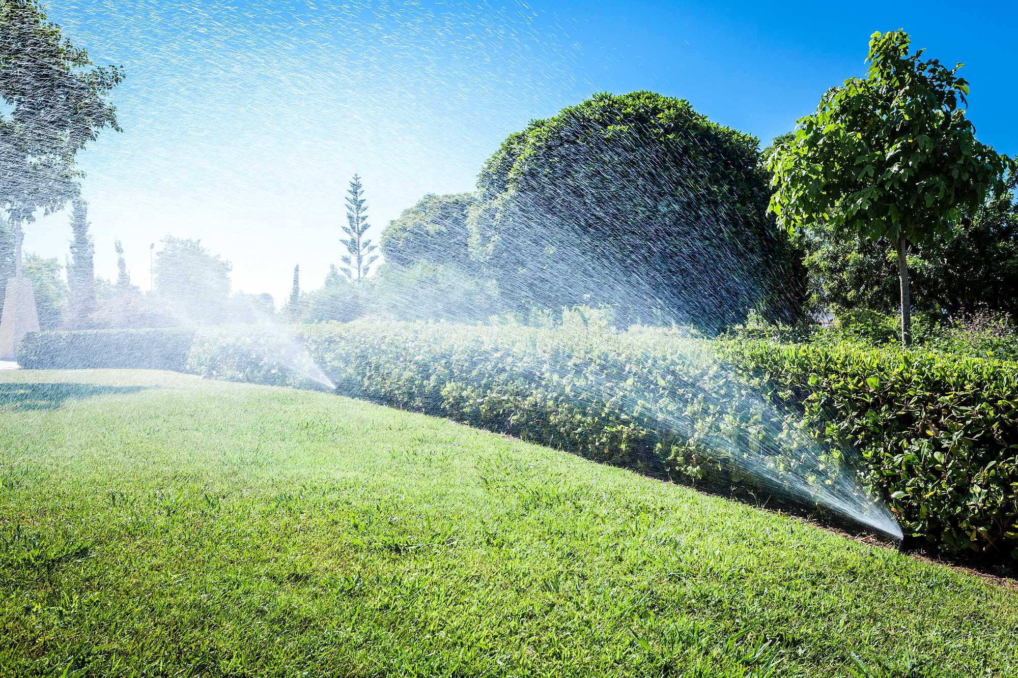 Irrigazione giardino – SVAI