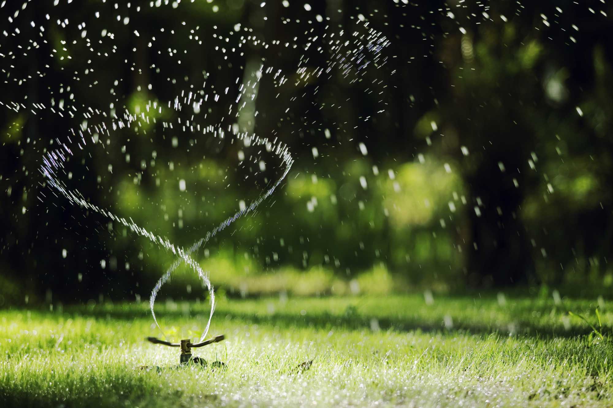 irrigazione SVAI_irrigazione girandola giardino