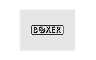 SVAI_boxer