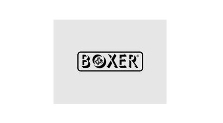 SVAI_boxer