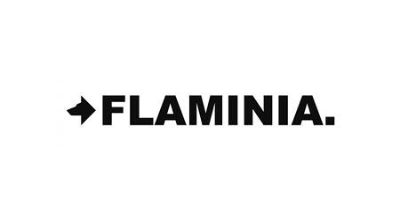 SVAI_flaminia